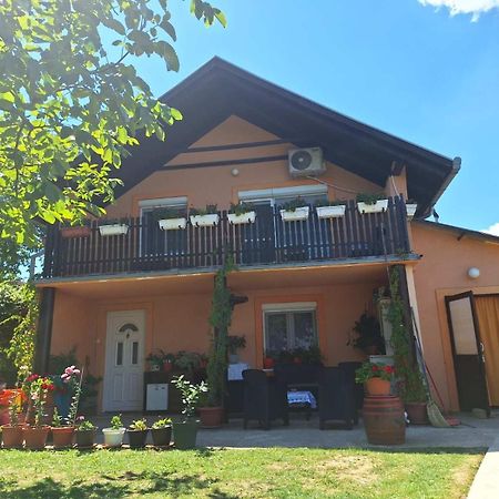 Guest House Jevtović Sremski Karlovci Extérieur photo
