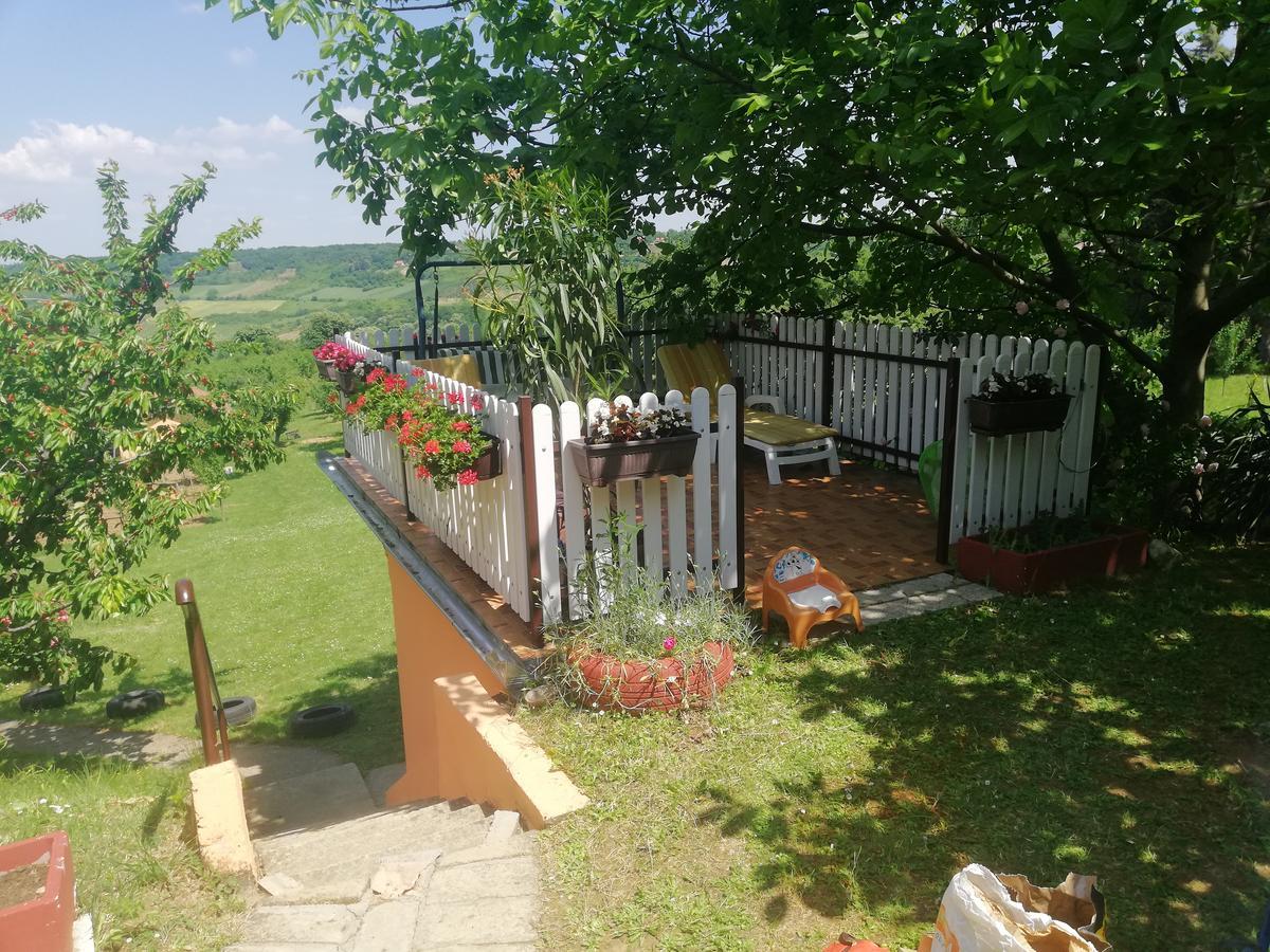 Guest House Jevtović Sremski Karlovci Extérieur photo