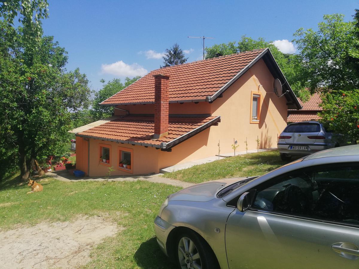 Guest House Jevtović Sremski Karlovci Extérieur photo