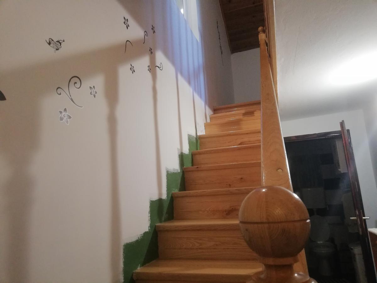 Guest House Jevtović Sremski Karlovci Extérieur photo