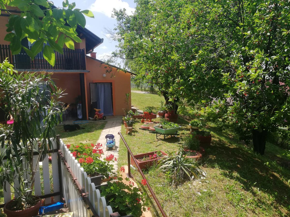 Guest House Jevtović Sremski Karlovci Extérieur photo