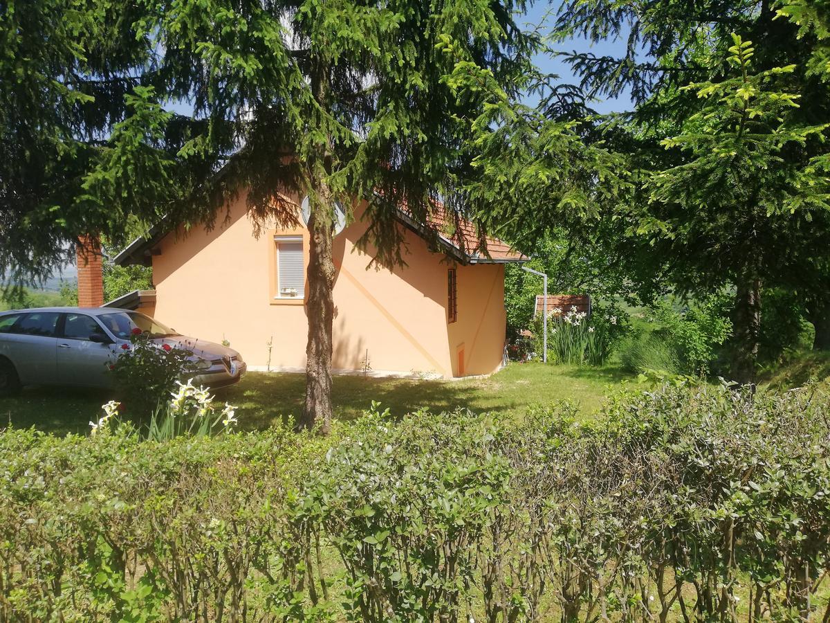 Guest House Jevtović Sremski Karlovci Extérieur photo