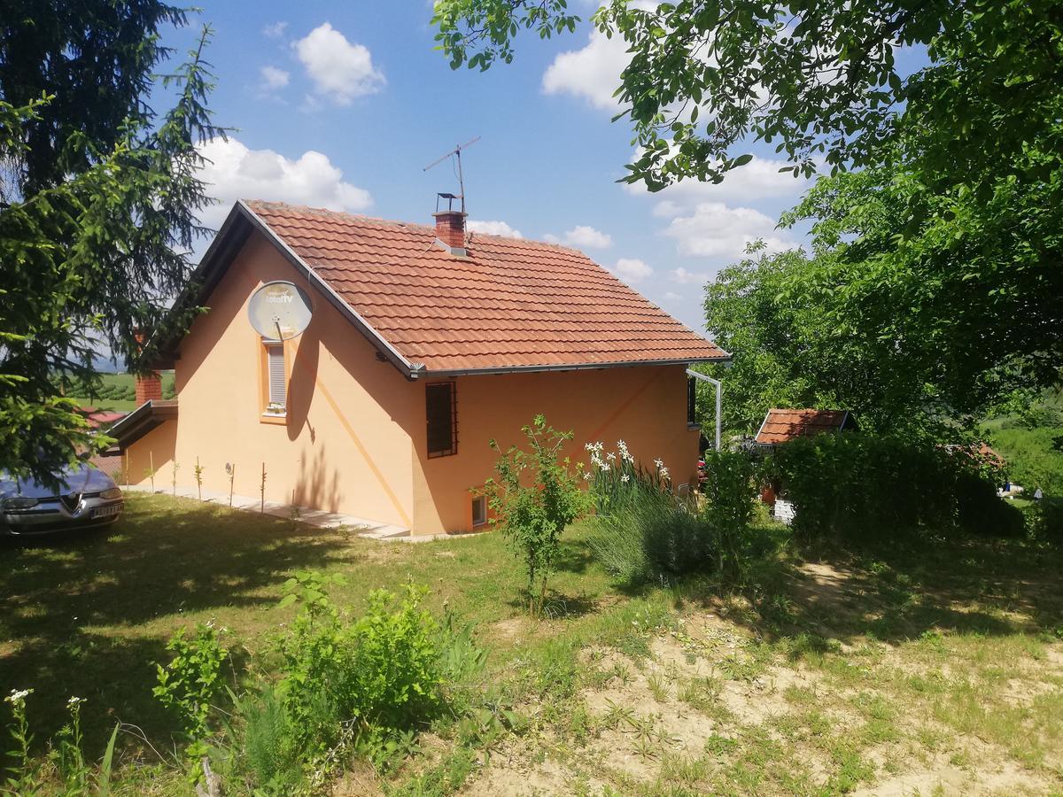 Guest House Jevtović Sremski Karlovci Extérieur photo