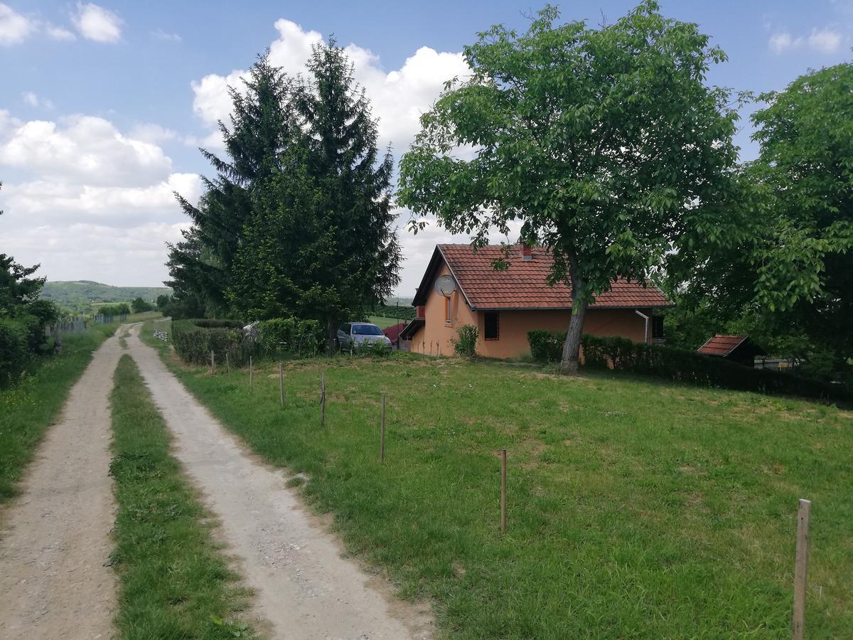 Guest House Jevtović Sremski Karlovci Extérieur photo