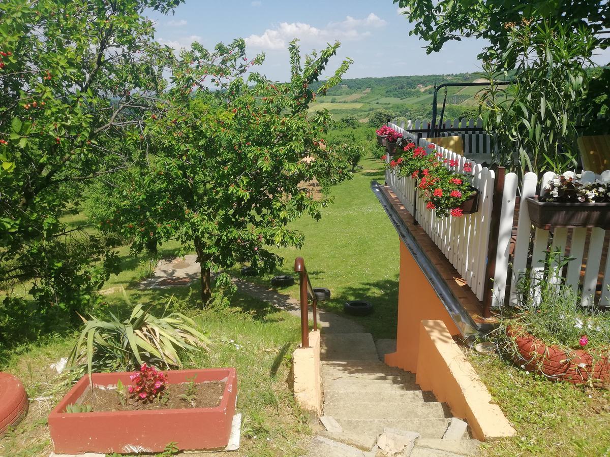 Guest House Jevtović Sremski Karlovci Extérieur photo