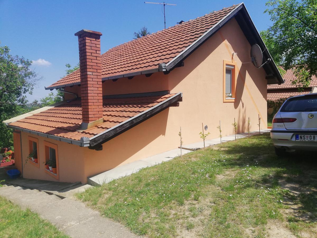 Guest House Jevtović Sremski Karlovci Extérieur photo