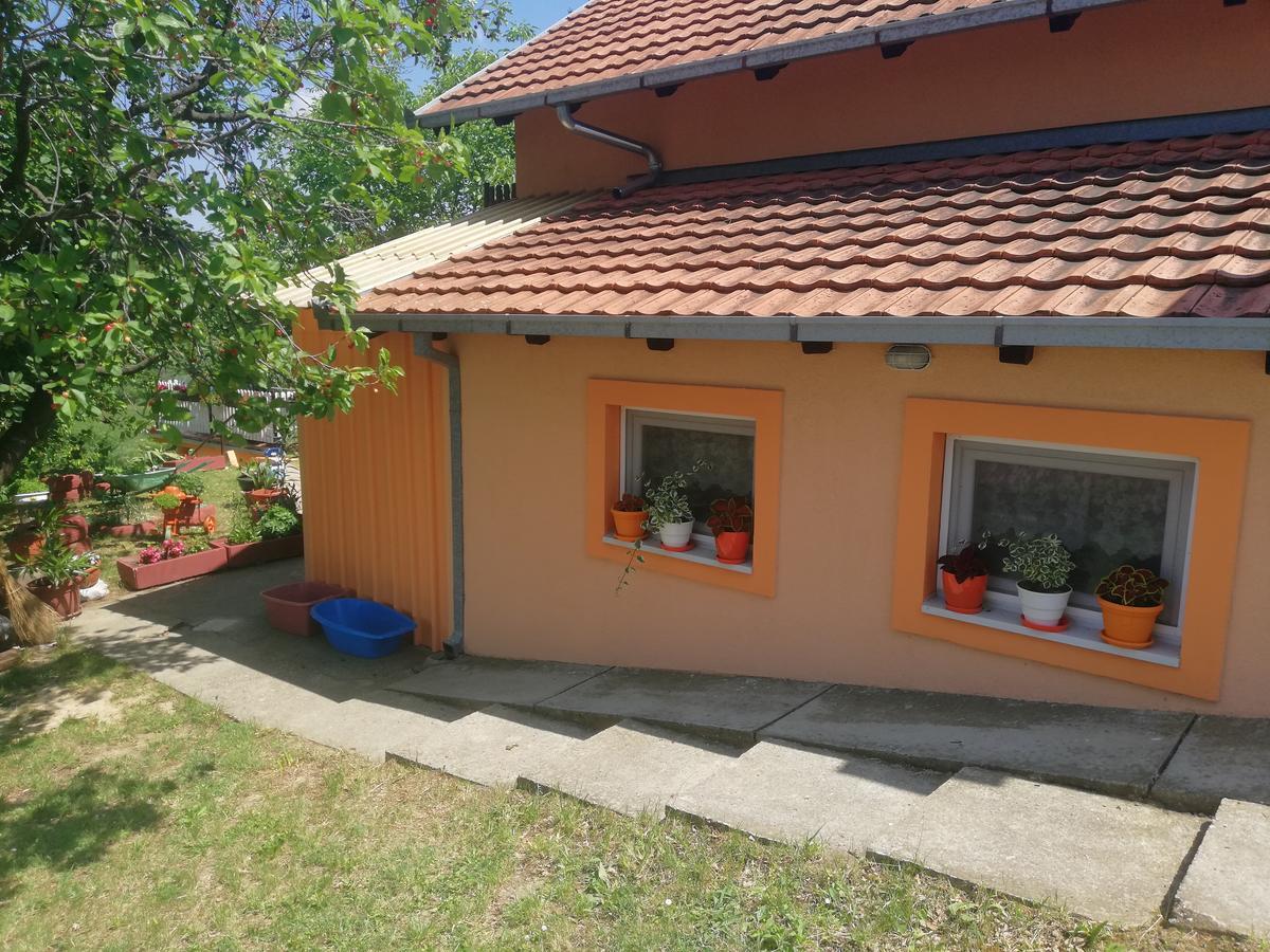 Guest House Jevtović Sremski Karlovci Extérieur photo