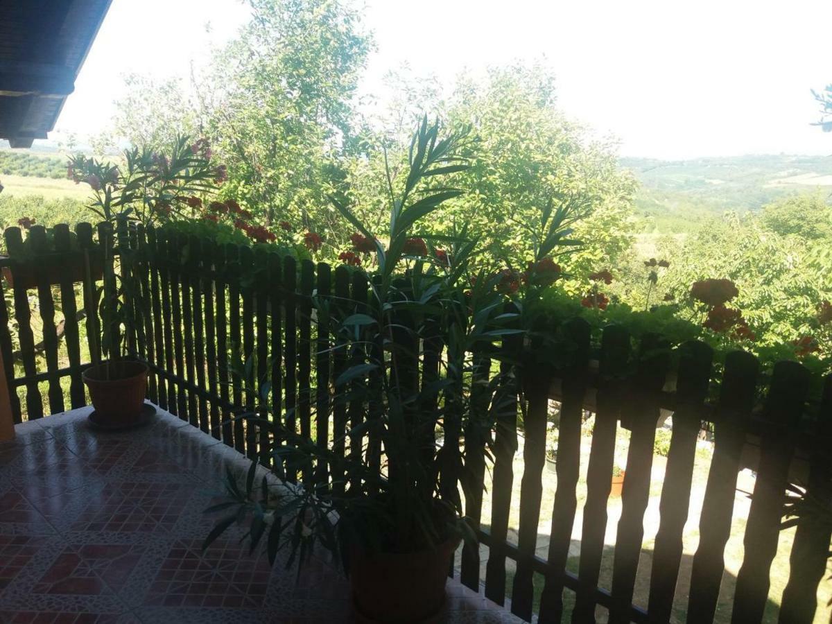 Guest House Jevtović Sremski Karlovci Extérieur photo