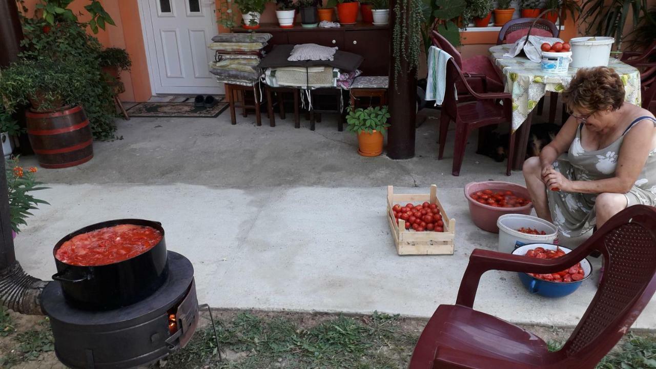 Guest House Jevtović Sremski Karlovci Extérieur photo